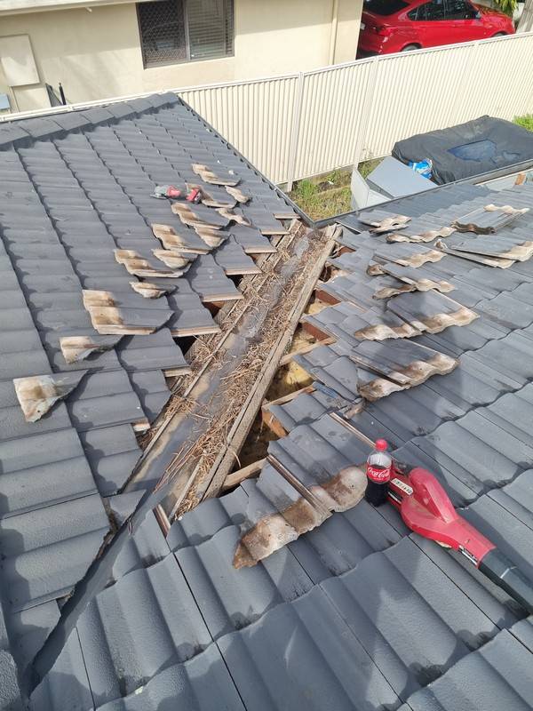 Roof and building leak detection 1 by Rayzar's Painting in North Brisbane and Sunshine Coast