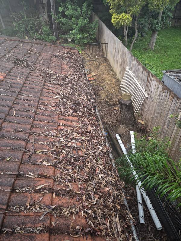 Exterior and roof cleaning 7 by Rayzar's Painting in North Brisbane and Sunshine Coast