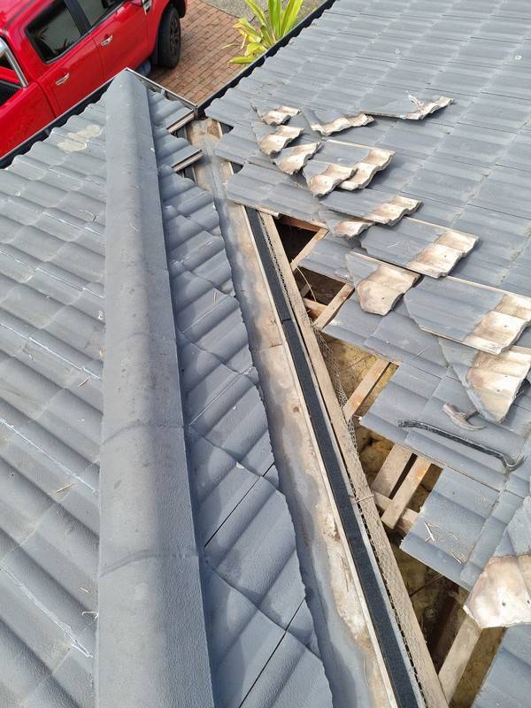Roof and building leak detection 3 by Rayzar's Painting in North Brisbane and Sunshine Coast