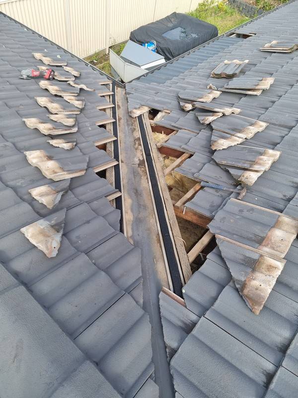 Roof and building leak detection 2 by Rayzar's Painting in North Brisbane and Sunshine Coast