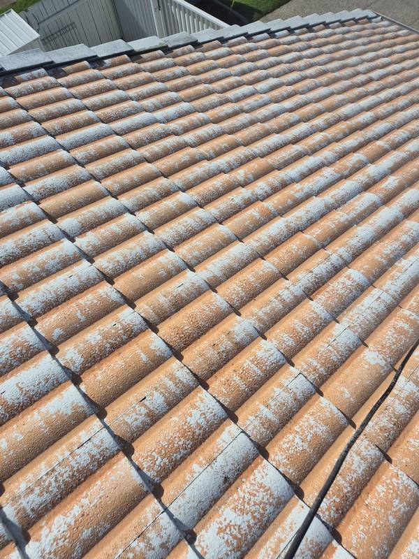 Exterior and roof cleaning 13 by Rayzar's Painting in North Brisbane and Sunshine Coast