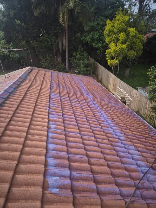 Exterior and roof cleaning 11 by Rayzar's Painting in North Brisbane and Sunshine Coast